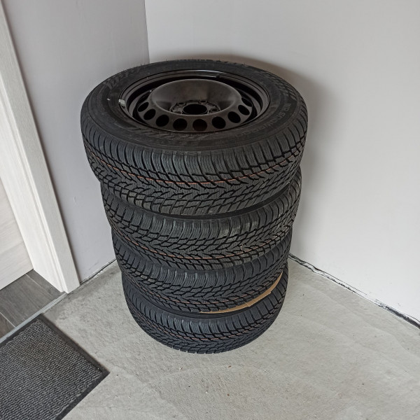 
            195/65R15 Nokian 
    

                        91
        
                    H
        
    
    Ruota di automobile

