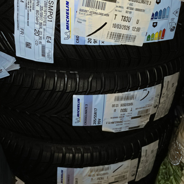
            205/55R17 Michelin Crossclimate 3
    

                        95
        
                    V
        
    
    乗用車

