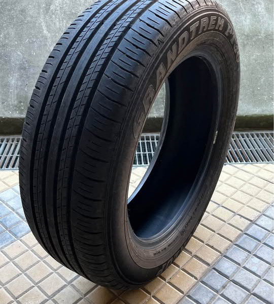 
            225/60R18 Dunlop Dunlop Grandtrek PT30
    

                        100
        
                    H
        
    
    Personenauto


