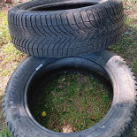 
            215/55R16 Michelin Green Albion
    

                        97
        
                    H
        
    
    Personenauto

